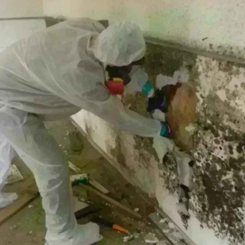 Mold Remediation and Removal in White River Junction, VT